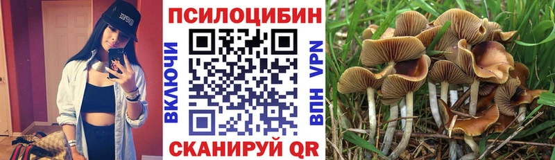 где продают darknet формула Галлюциногенные грибы мухоморы Татарск